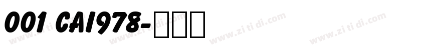 001 CAI978字体转换